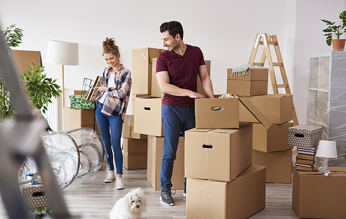 packers and movers