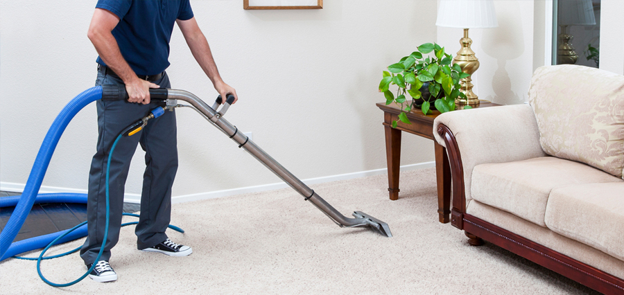 carpet cleaning banner 2