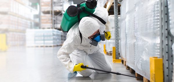 professional pest control service provider in protective gear, performing general pest control in a godown.