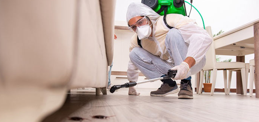 general pest control banner 2